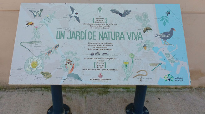 Un Jardín de naturaleza viva en el barrio de malilla en Valencia