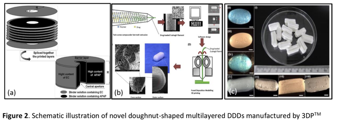 Graphics with details of 3D printed drug delivery device with wood-derived biopolymers