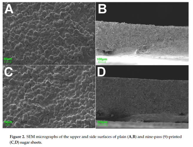 SEM micrographs of the upper and side surfaces of printed sugar sheets