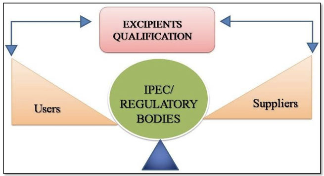 Regulatory aspects of pharmaceutical excipients in India