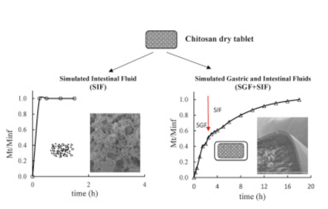 Analysis results of Self-stabilized chitosan
