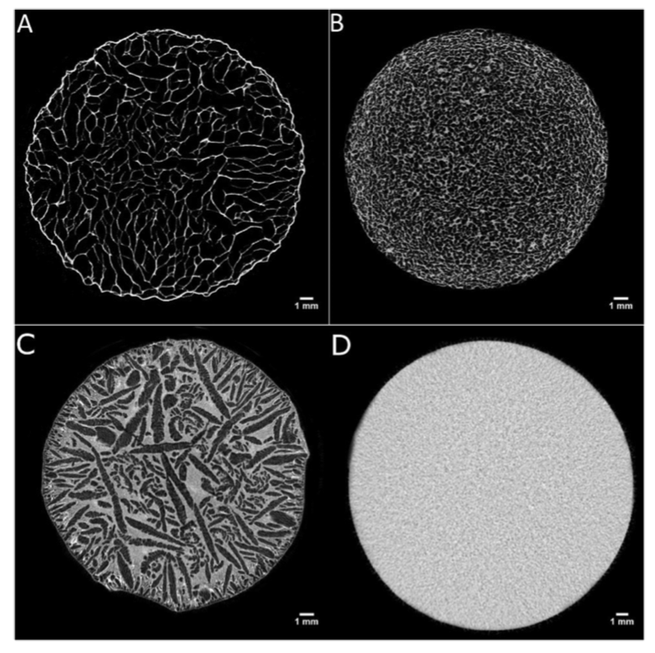 Interaction of Mannitol and Sucrose with Gellan Gum in Freeze-Dried Gel Systems