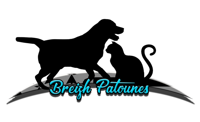 Site de breizhpatounes !