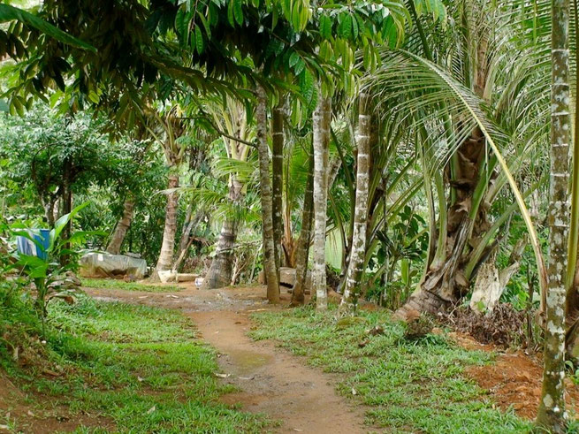 Manus Island, Papua New Guinea 