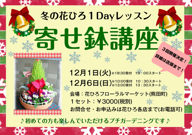 お花教室　ポインセチア　シクラメン　ガーデニング　福井　鯖江　12月　花ひろ　寄せ植え　レッスン　hanahiro