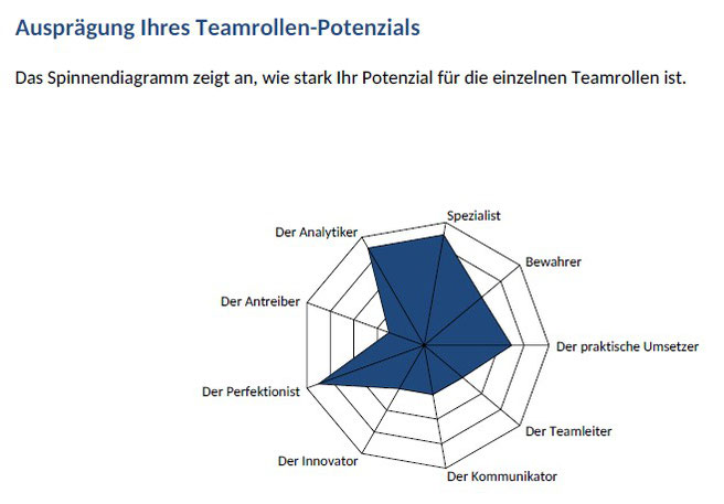  Beispiel für ein Auswertungsmodul des CAPTain::smart® team; Hier wird die Ausprägung des Teamrollen-Potenzials gezeigt. Die Auswertungsvariante eignet sich optimal für die Teamzusammenstellung oder Teamentwicklung auf Basis der Teamrollen nach Belbin®