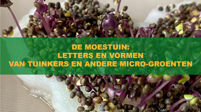 letters en vormen van tuinekrs en andere micro-groenten