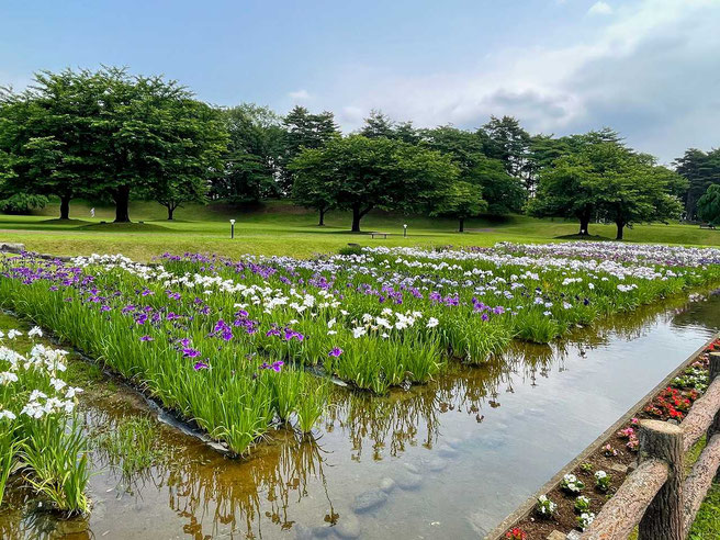 鏡石町 鳥見山公園とふくしま遊歩道50選