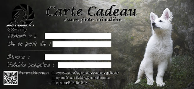 bon cadeau seance photo chien lyon cadeau anniversaire ou idee cadeaux noel  
