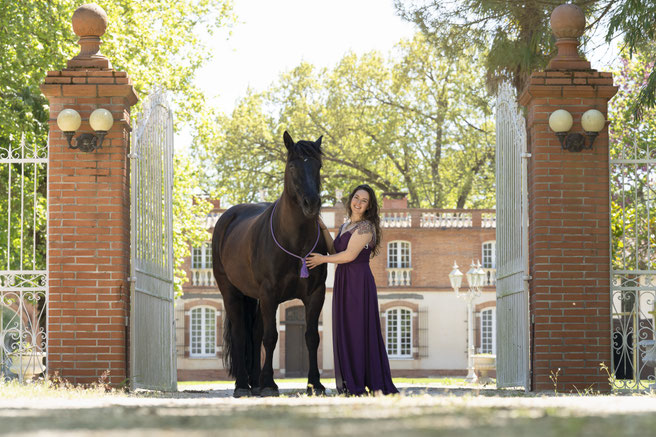 Photographe cheval portrait seance photo dans differente ville en france