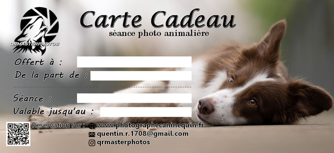 carte cadeau seance photo chien photographe canin lyon idee cadeaux noel