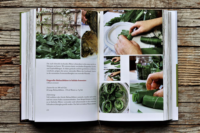 Auszug aus dem Buch Fermentieren von Wildpflanzen