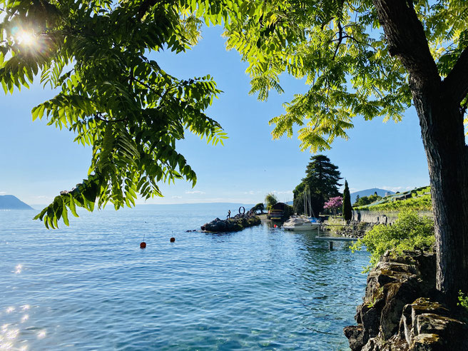 Genfer See, Montreux, Uferpromenade