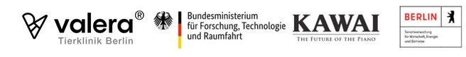 Marketing für Tierarztpraxis – mehr Neupatienten durch Google Optimierung