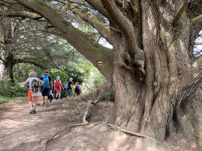 Sentier côtiers pour de douces balades