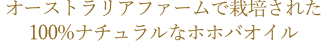 オーストラリアファームで栽培された100%ナチュラルなホホバオイル