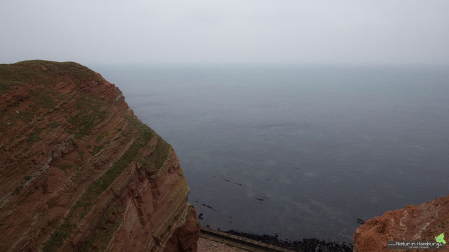 Blick von der Westklippe auf die Nordsee