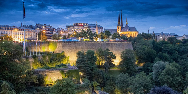  ​Luxembourg's Best Vegan Eats: Beet, Seed, and Reed