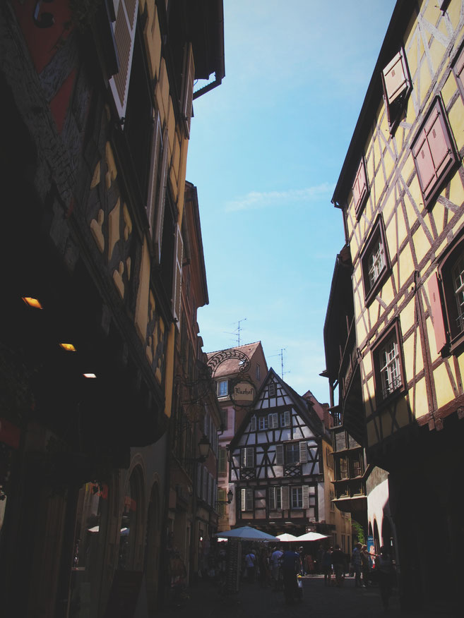 bigousteppes colmar alsace visite maison ville bois