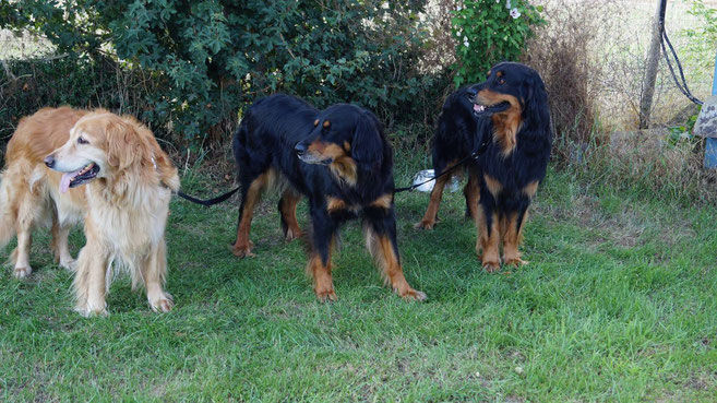 Familie Silberdistelwald, Thaler, Annabelle, Baki