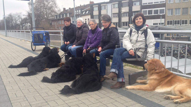 von rechts: Kalle (blond), Baki, Devil, Booker, Annabelle & ihre Frauen ; im blauen Welpenwagen: Morris