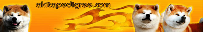 Japan Akita, akitapedigree.com, Akita Datenbank, Davor Ivic, Akita Stammbaum, Akita Ahnen