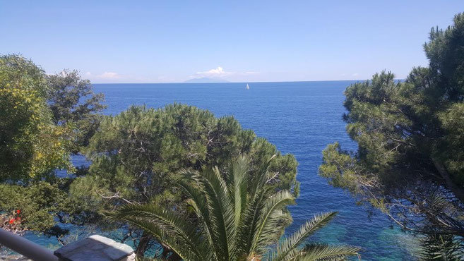 Vue de la méditerranée et de l'île d'Elbe depuis la terrasse située devant le salon de la Villa 