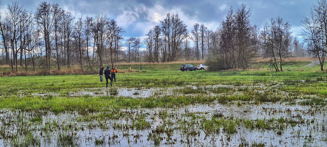 Im Winter & Frührjahr sind die Flächen durchaus flach überschwemmt & bieten damit Zugvögeln wie der Bekassine, der Zwergschnepfe, Kranichen & Kiebitzen auch potentielle Rastmöglichkeiten. © S. Fuchs
