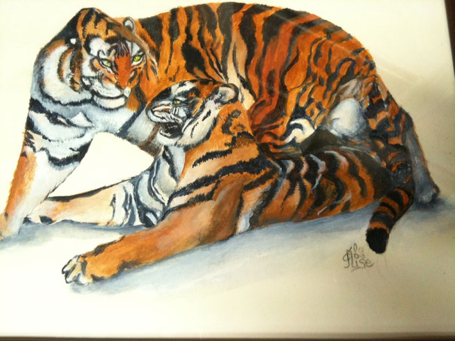 Couple de Tigres