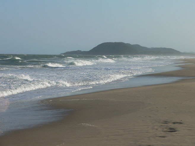 die Sandduene im Hin tergrund ist 180 m hoch