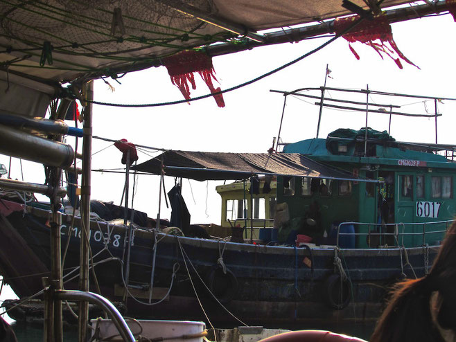 boat trip in Tai O village