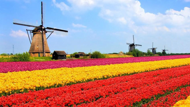 Things to do in Netherlands