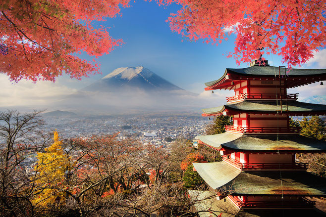 What to do in Tokyo