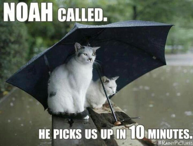 noah called, he picks us up in 10 minuets