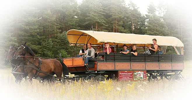 Extratouren bringt Sie zur Kremserfahrt