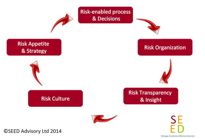 SEED Advisory Enterprise Risk Management Offering