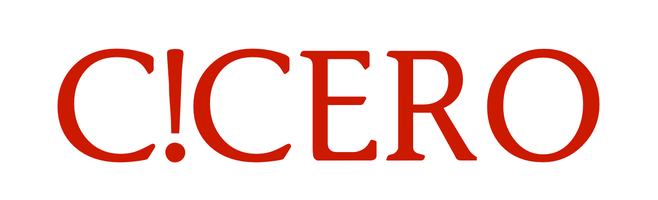 business coaching, systemische Unternehmensberatung, C!CERO