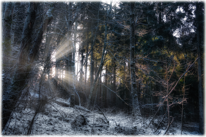 Ein lichter Moment im Winter