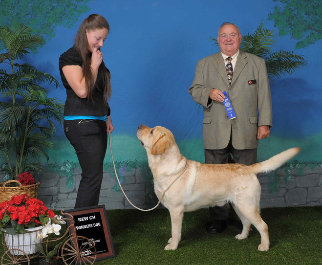 Équilab Simba obtient son Championnat Canadien le 2 juin 2012.