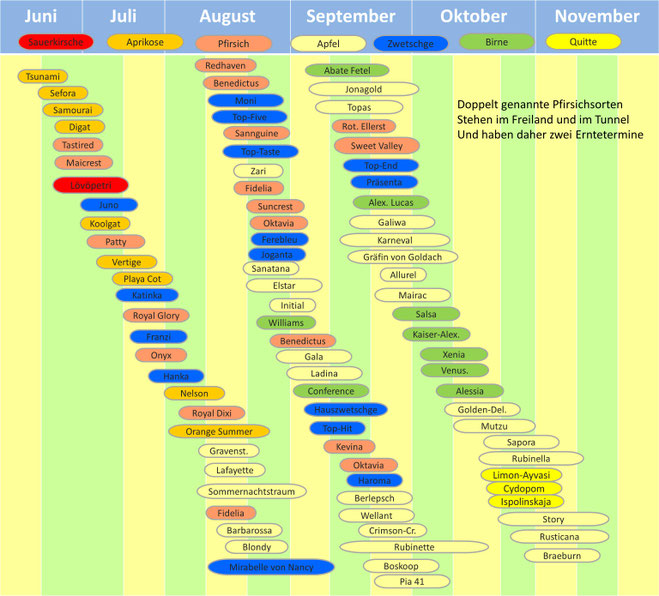 Ladina Rubinette Reifezeittabelle selber Pflücken Cox-Orange Bsokoop