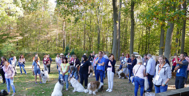 Anfängerhund Zweithund Dritthund Servicehund Elo Familie Kind