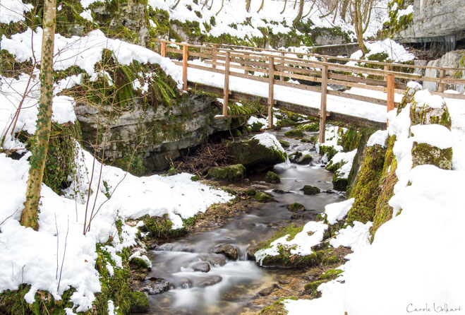 Schluchtidylle mit der Brücke, dem Moos und dem Bächlein