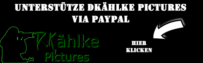 PayPal aufruf