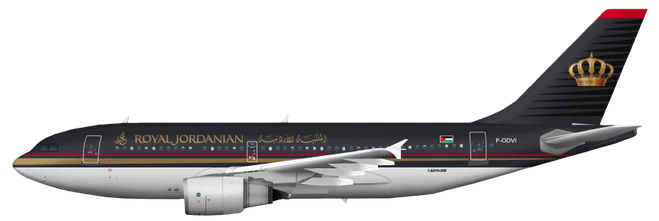 Aircraft Type: Airbus A310-300
