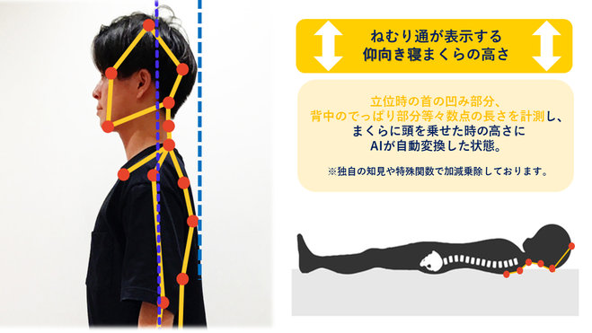 仰向き寝の高さ