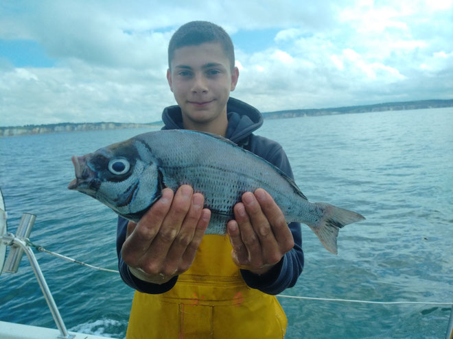 Daurade à bord du black flibeur