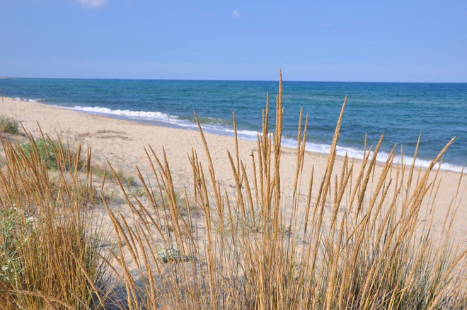 Côte des Nacres, Cote des Nacres