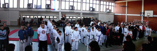 Saric Memorial 2007 - Ju Jutsu Open