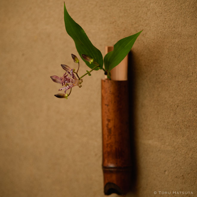 煤竹掛花入「かたわら」