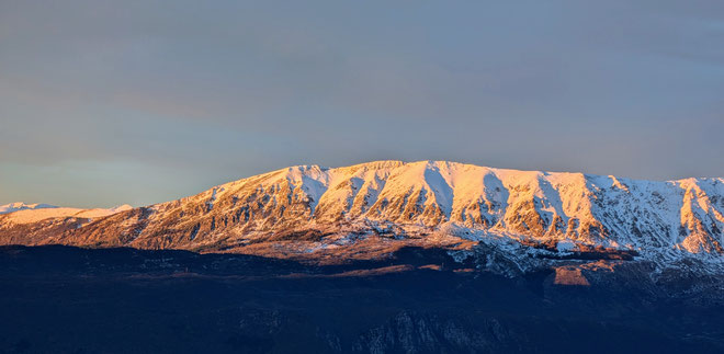 Colpito dai primi raggi di sole.